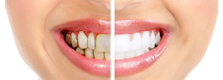 Acil Tedavi Hizmetleri